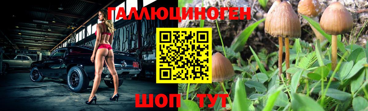 Псилоцибиновые грибы Magic Shrooms  Вход с VPN  Ярославль 